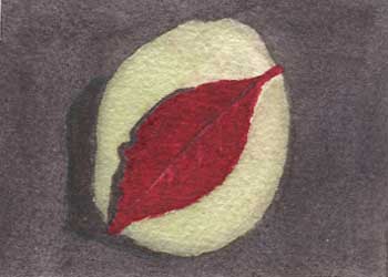 "Scarlet Leaf" by Jean Johnson, Madison WI - Watercolor